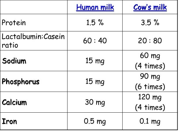 how much calcium is in breast milk Xxx famiy guy